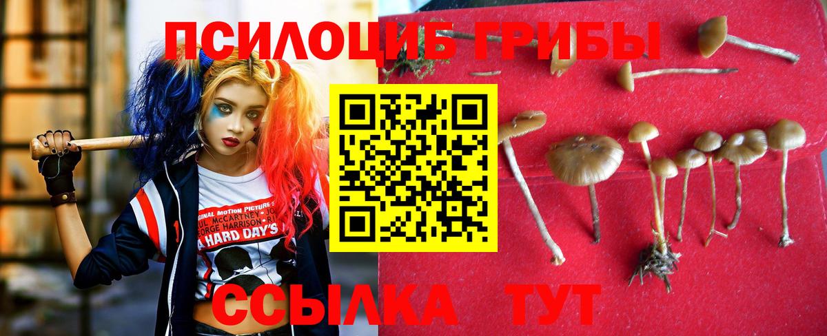 Железноводск  Галлюциногенные грибы ЛСД  Вход с VPN 